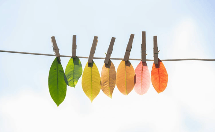 Cloud Transformationsstrategien Für Unternehmen
