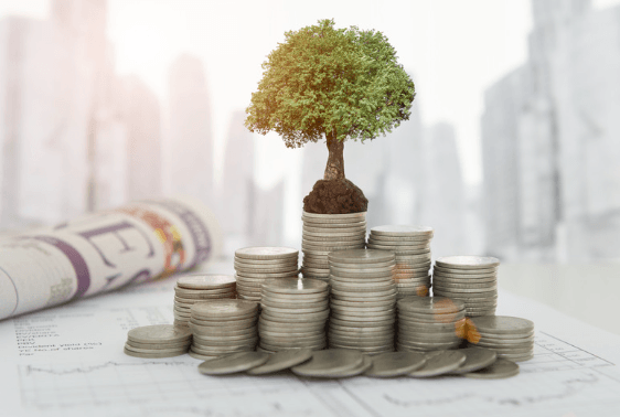  Technologische Due Diligence Für Start-ups: Vorbereitung Auf Investitionen