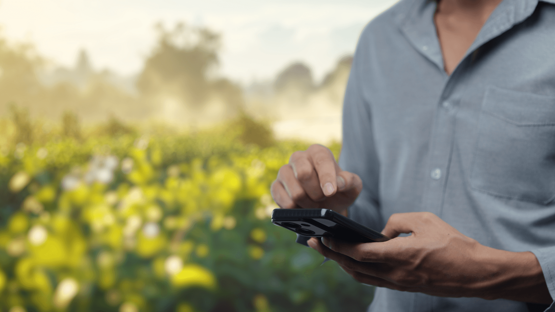 Technology Lifecycle Management Software von der Planung bis zur Ablösung strategisch verwalten