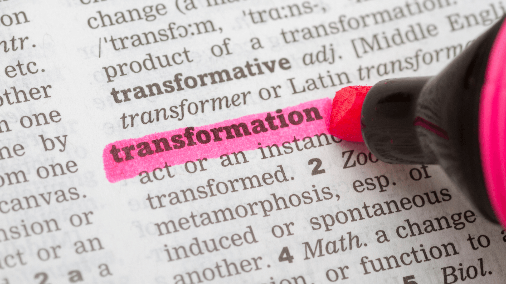 Die Rolle von Software in der Unternehmenstransformation